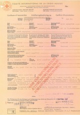 Febrer del 1967. Certificat del Comitè Internacional de la Creu Roja sobre el seu empresonament. (Font: Archives des Victimes des Conflits Contemporanis – Caen, França).

