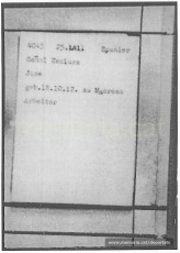 Fitxa de presoner de Josep Señal a Mauthausen, amb el seu número, data d'arribada i categoria. Com a professió hi posa obrer (Font: ITS Bad Arolsen)