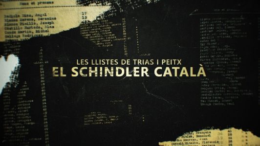 1200_1636393072schindler
