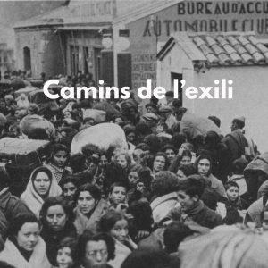 portades (11)