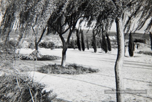 Any 1950. El turó de Puigterrà.