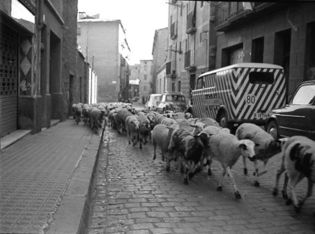 1970:  Carrer de Puigterrà de Dalt. (Autor: Antoni Quintana Torres. Foto enviada per Jaume Quintana)