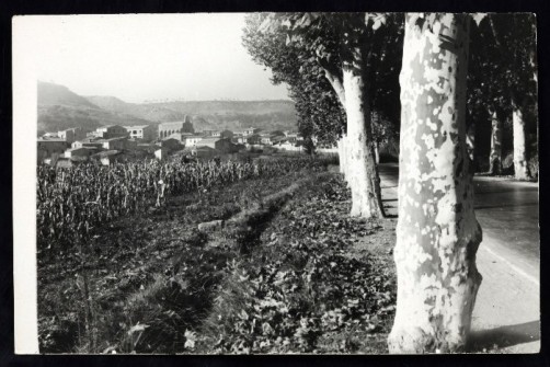 Anys 30:  Sant Joan de Vilatorrada, vist des de la carretera de Cardona, amb els característics plataners. (Foto enviada per Roser Rojas i Simats)