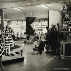 (3/7) 5/6/1960. Maniquins amb els models de roba de cotó per a l’estiu.