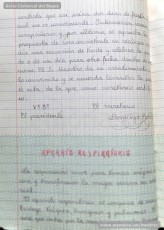 Mostres de tipus textuals. Resulta molt interessant, per la seva modernitat, destacar la gran diversitat de tipus de text que feia treballar Josep Albagés als seus alumnes per donar-los un domini dels diferents registres de llenguatge. S’hi poden llegir cartes, actes, esqueles, felicitacions, factures, oficis, comandes, certificats, anuncis, etc. (Arxiu Comarcal del Bages)
