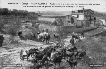 La granja Vista Alegre, que ha donat nom al sector existent per sobre de la Catalana, tal com era durant el primer decenni del segle XX. Aquesta granja es dedicava a l'explotació de bestiar (sobretot vaques i cabres), orientada a la producció de llet.
Procedència: Col·lecció Josep Miravitlles