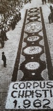 Catifa de flors a la Baixada de la Seu durant la festa del Corpus de l’any 1962. (Arxiu Comarcal del Bages).