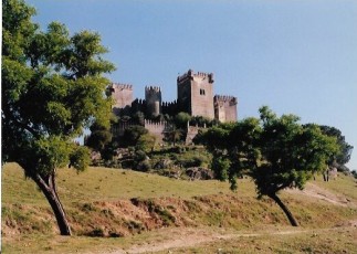 Castell de la Floresta